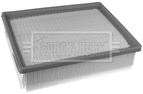 Air Filter (BFA2411)