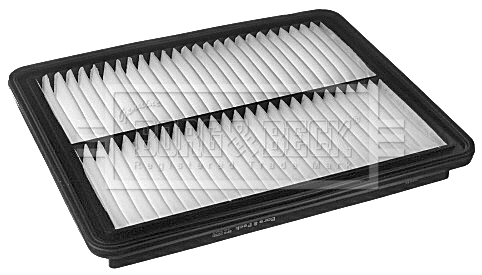 Air Filter (BFA2250)