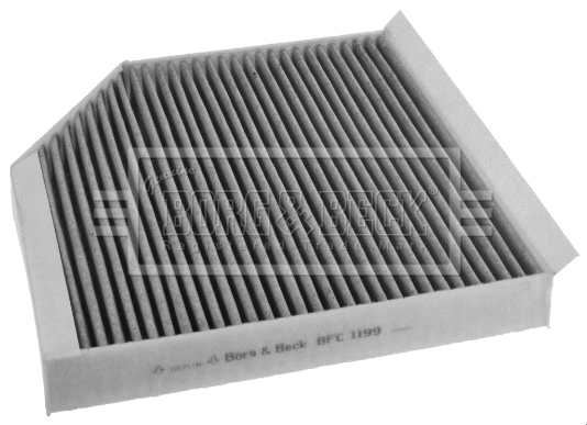 Filter, cabin air (BFC1199)