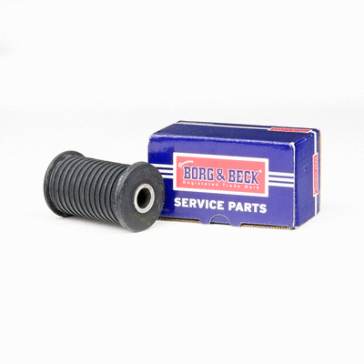 Bushing, leaf spring