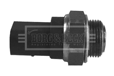 Temperature Switch, radiator fan (BTS821.92)