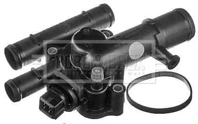Thermostat, coolant (BBT267)