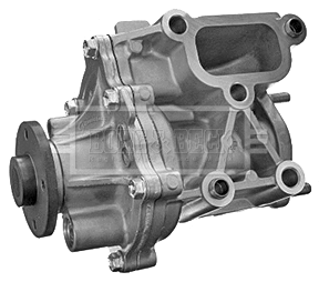 Water Pump, engine cooling (BWP2313)