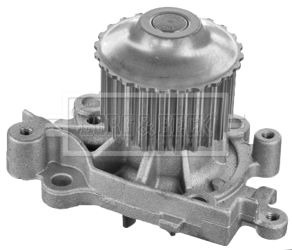 Water Pump, engine cooling (BWP2089)
