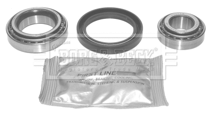 Wheel Bearing Kit (BWK198)