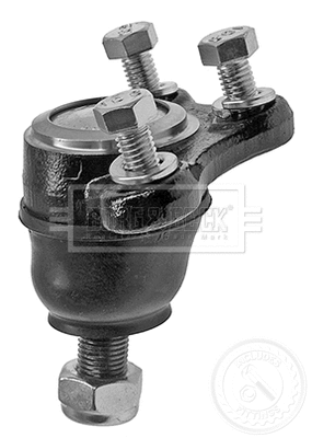 Ball Joint (BBJ5253)