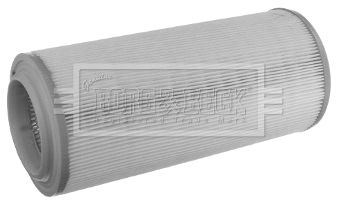 Air Filter (BFA2452)