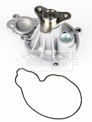 Water Pump, engine cooling (BWP2467)