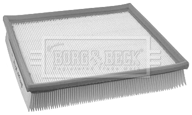 Air Filter (BFA2141)