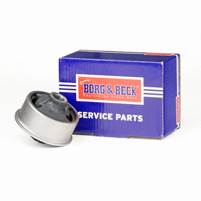 Mounting, control/trailing arm