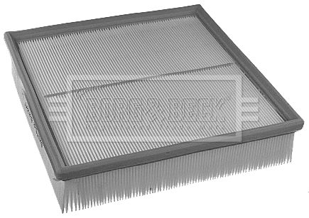 Air Filter (BFA2247)