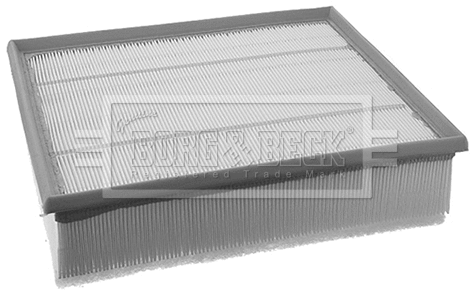 Air Filter (BFA2138)
