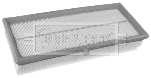 Air Filter (BFA2420)