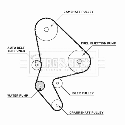 Water Pump & Timing Belt Kit (BTW1007)