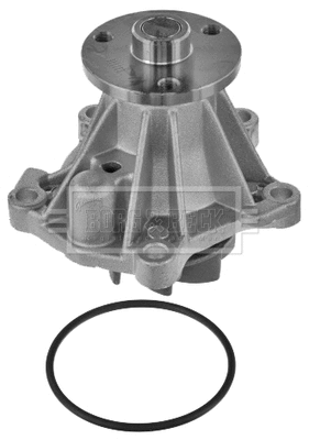 Water Pump, engine cooling (BWP1589)