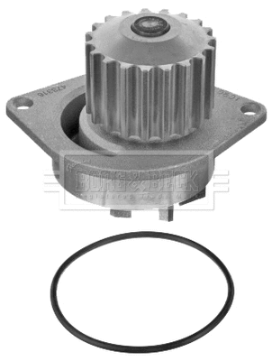 Water Pump, engine cooling (BWP1783)