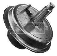 Mounting, engine (BEM4079)