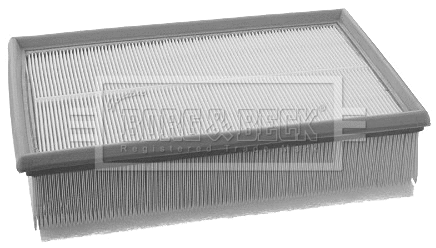 Air Filter (BFA2185)