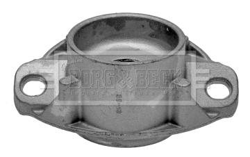 Suspension Strut Support Mount (BSM5253)