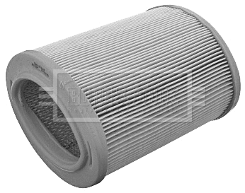 Air Filter (BFA2105)