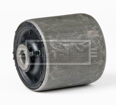 Mounting, control/trailing arm (BSK8151)