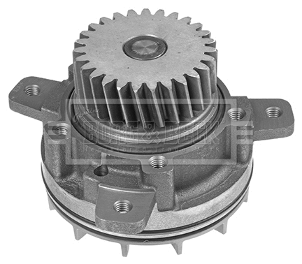 Water Pump, engine cooling (BWP32684)