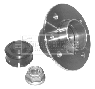 Wheel Bearing Kit (BWK711)
