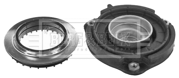 Suspension Strut Support Mount (BSM5473)