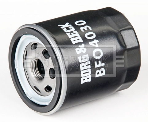 Oil Filter (BFO4030)