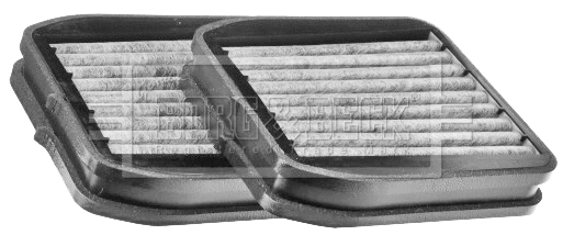 Filter, cabin air (BFC1273)