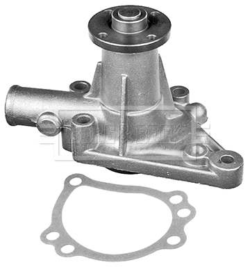 Water Pump, engine cooling (BWP1119)