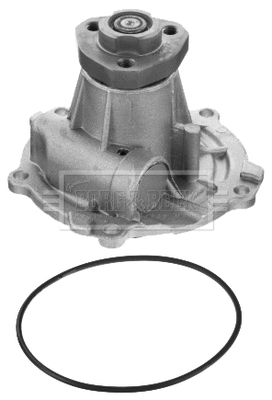 Water Pump, engine cooling (BWP1716)
