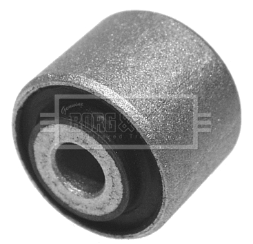 Mounting, control/trailing arm (BSK6329)