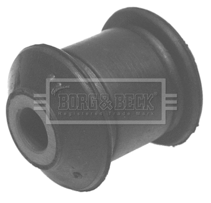 Mounting, control/trailing arm (BSK6159)