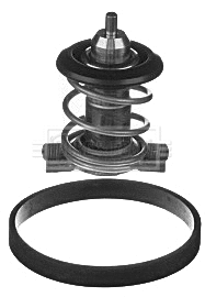 Thermostat, coolant (BBT107)
