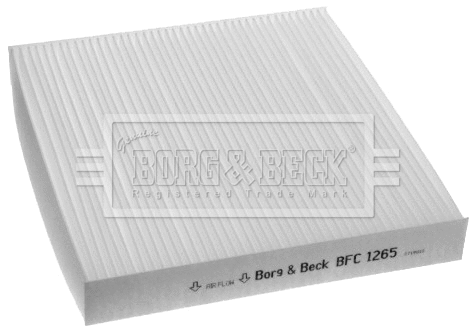 Filter, cabin air (BFC1265)