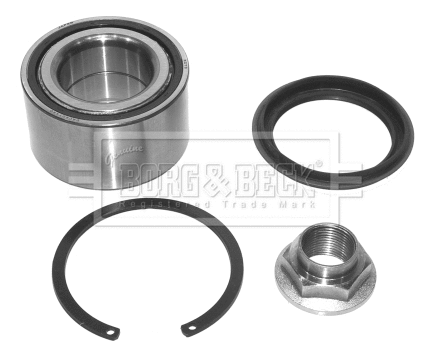 Wheel Bearing Kit (BWK560)