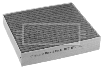 Filter, cabin air (BFC1119)