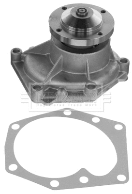 Water Pump, engine cooling (BWP32695)