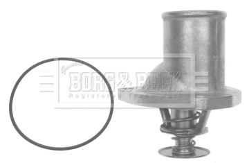 Thermostat, coolant (BTS421.82)