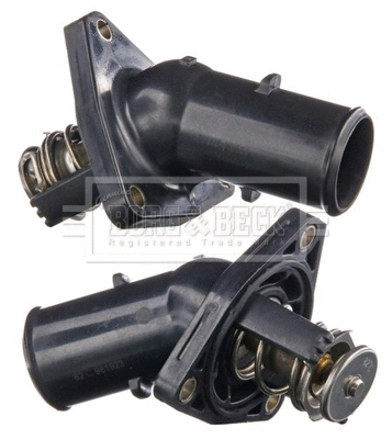 Thermostat, coolant (BBT433)