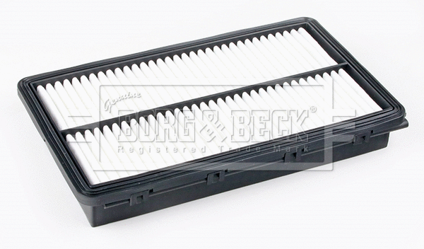 Air Filter (BFA2679)