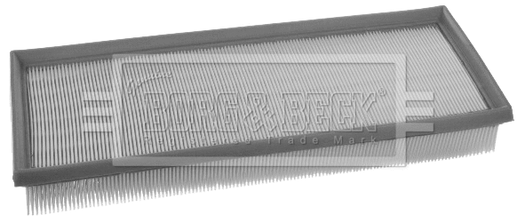Air Filter (BFA2516)