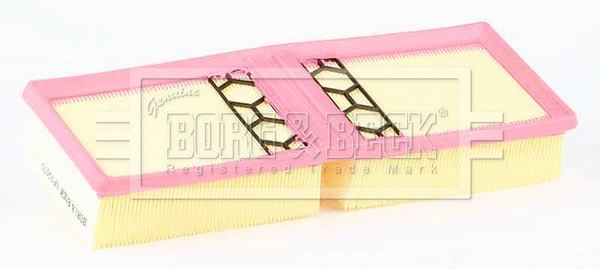 Air Filter (BFA2570)