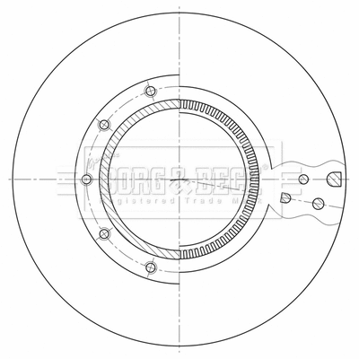 Brake Disc (BBD32619)