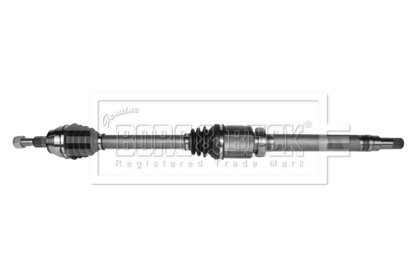 Drive Shaft (BDS1187)