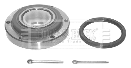 Wheel Bearing Kit (BWK174)