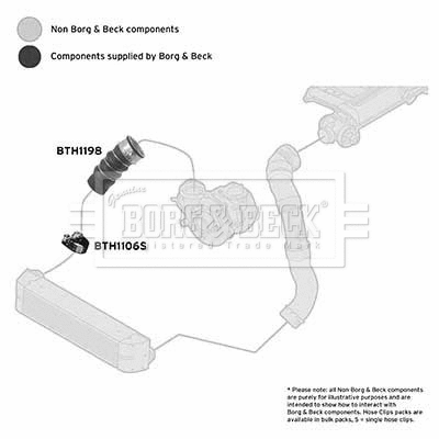 Charge Air Hose (BTH1198)