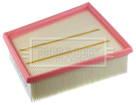 Air Filter (BFA2553)