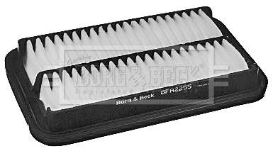 Air Filter (BFA2255)